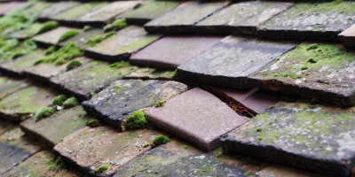 Southease roof repair costs
